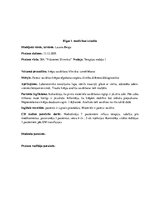 Prakses atskaite 'Prakses dienasgrāmata klīnikā', 37.