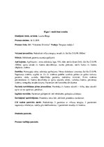 Prakses atskaite 'Prakses dienasgrāmata klīnikā', 38.