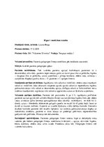 Prakses atskaite 'Prakses dienasgrāmata klīnikā', 39.