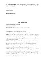 Prakses atskaite 'Prakses dienasgrāmata klīnikā', 40.