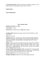 Prakses atskaite 'Prakses dienasgrāmata klīnikā', 41.