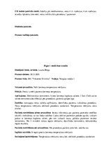 Prakses atskaite 'Prakses dienasgrāmata klīnikā', 42.