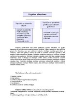 Referāts 'Produkcijas krājumu vadīšana veikala "Pus12" sadales tīklā', 12.