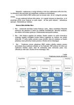 Referāts 'Produkcijas krājumu vadīšana veikala "Pus12" sadales tīklā', 20.