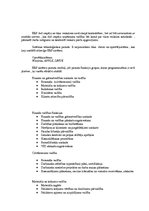 Referāts 'Produkcijas krājumu vadīšana veikala "Pus12" sadales tīklā', 22.