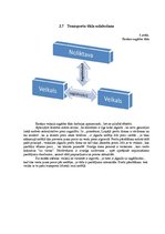 Referāts 'Produkcijas krājumu vadīšana veikala "Pus12" sadales tīklā', 30.