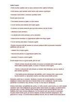 Konspekts 'Basketbola noteikumi', 2.