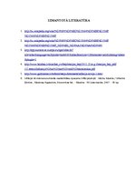 Referāts 'Inflācija. Starptautiskais salīdzinājums', 11.