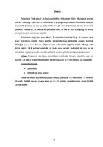 Referāts 'Subkultūra - hipiji jeb "puķu bērni"', 3.