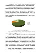 Referāts 'Subkultūra - hipiji jeb "puķu bērni"', 10.