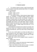 Referāts 'Biznesa plāns "Naktsmājas"', 4.