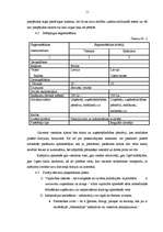 Referāts 'Biznesa plāns "Naktsmājas"', 11.