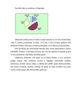 Referāts 'Organizācijas "XXX" kultūras pētījums', 15.