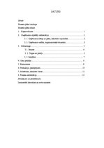 Biznesa plāns 'Biznesa plāns', 1.