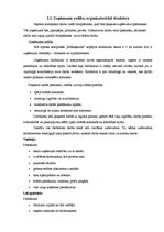 Biznesa plāns 'Biznesa plāns', 7.