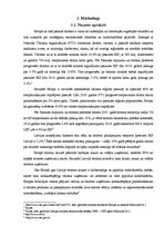 Biznesa plāns 'Biznesa plāns', 10.