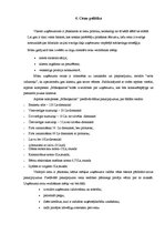 Biznesa plāns 'Biznesa plāns', 15.