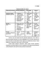 Biznesa plāns 'Biznesa plāns', 18.