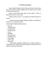 Biznesa plāns 'Biznesa plāns', 19.