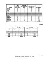 Biznesa plāns 'Biznesa plāns', 24.