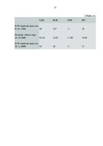 Referāts 'Starptautisko valūtu attiecības un to ietekme uz Latviju', 25.