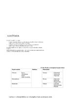 Konspekts 'Ievads fizioterapijā - motorā kontrole', 5.