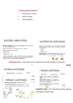 Konspekts 'Ievads fizioterapijā - motorā kontrole', 6.