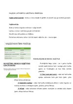 Konspekts 'Ievads fizioterapijā - motorā kontrole', 8.