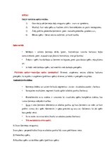 Konspekts 'Ievads fizioterapijā - motorā kontrole', 13.