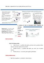 Konspekts 'Ievads fizioterapijā - motorā kontrole', 14.