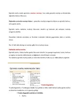 Konspekts 'Ievads fizioterapijā - motorā kontrole', 17.