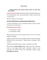 Konspekts 'Ievads fizioterapijā - motorā kontrole', 21.