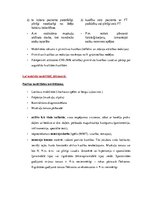 Konspekts 'Ievads fizioterapijā - motorā kontrole', 24.