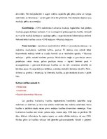 Konspekts 'Ievads fizioterapijā - motorā kontrole', 28.