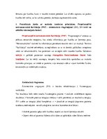 Konspekts 'Ievads fizioterapijā - motorā kontrole', 29.