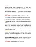 Konspekts 'Ievads fizioterapijā - motorā kontrole', 31.