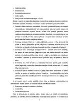 Referāts 'Personāla loma kvalitātes nodrošināšanā', 18.