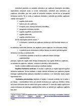 Referāts 'Iekšējās komunikācijas problēmas un to risināšanas iespējas', 11.