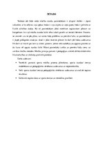 Referāts 'Sporta stundas satura modelēšana un pedagoģiskā vērtēšana', 3.