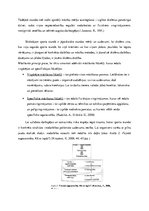 Referāts 'Sporta stundas satura modelēšana un pedagoģiskā vērtēšana', 8.