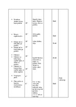 Referāts 'Sporta stundas satura modelēšana un pedagoģiskā vērtēšana', 15.