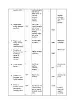 Referāts 'Sporta stundas satura modelēšana un pedagoģiskā vērtēšana', 18.