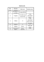 Paraugs 'Tehnoloģisko procesu izstrāde', 4.