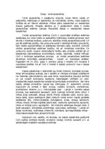 Eseja 'Civilā aizsardzība LR', 1.