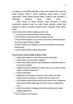 Referāts 'Kultūras tūrisma produkts un tā attīstības iespējas Latvijā', 17.