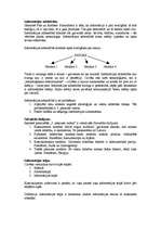 Konspekts 'Informācijas sabiedrības teorija', 6.