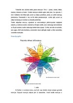 Konspekts 'Emocijas', 3.