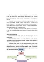 Konspekts 'Emocijas', 6.