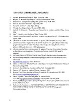 Referāts 'Etnoss jeb etniskā piederība - nozīmīgs socializācijas faktors', 16.