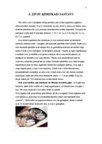 Referāts 'Zivju ķīmiskais sastāvs', 1.